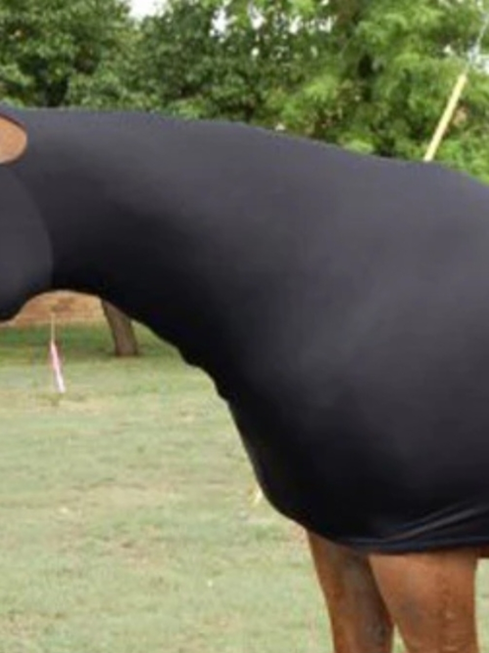 Horse - SLEEZY SLEEPWEAR FOR HORSES - LYCRA HOOD WITH ZIPPER